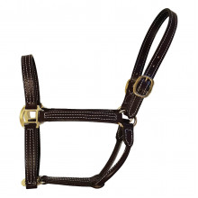 Stallion Halter - Thoroughbred - USA