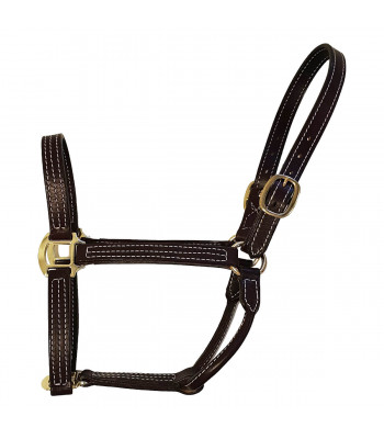 Stallion Halter - Thoroughbred - USA